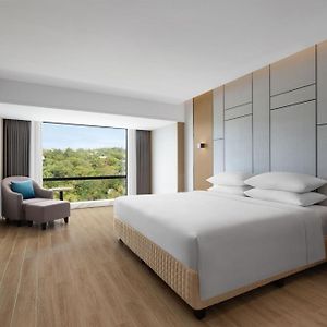 Premier King Suite